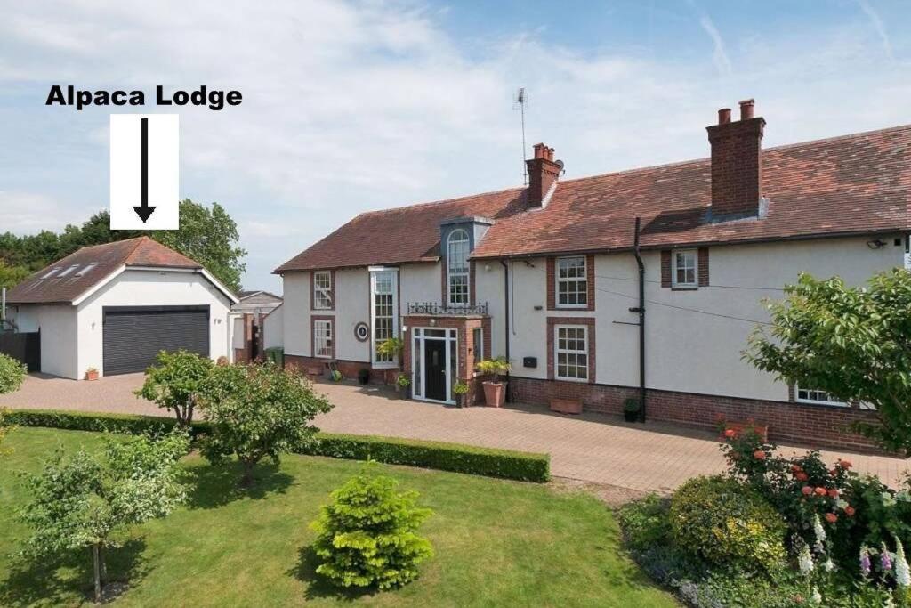 Alpaca Lodge ซิททิงบอร์น ภายนอก รูปภาพ