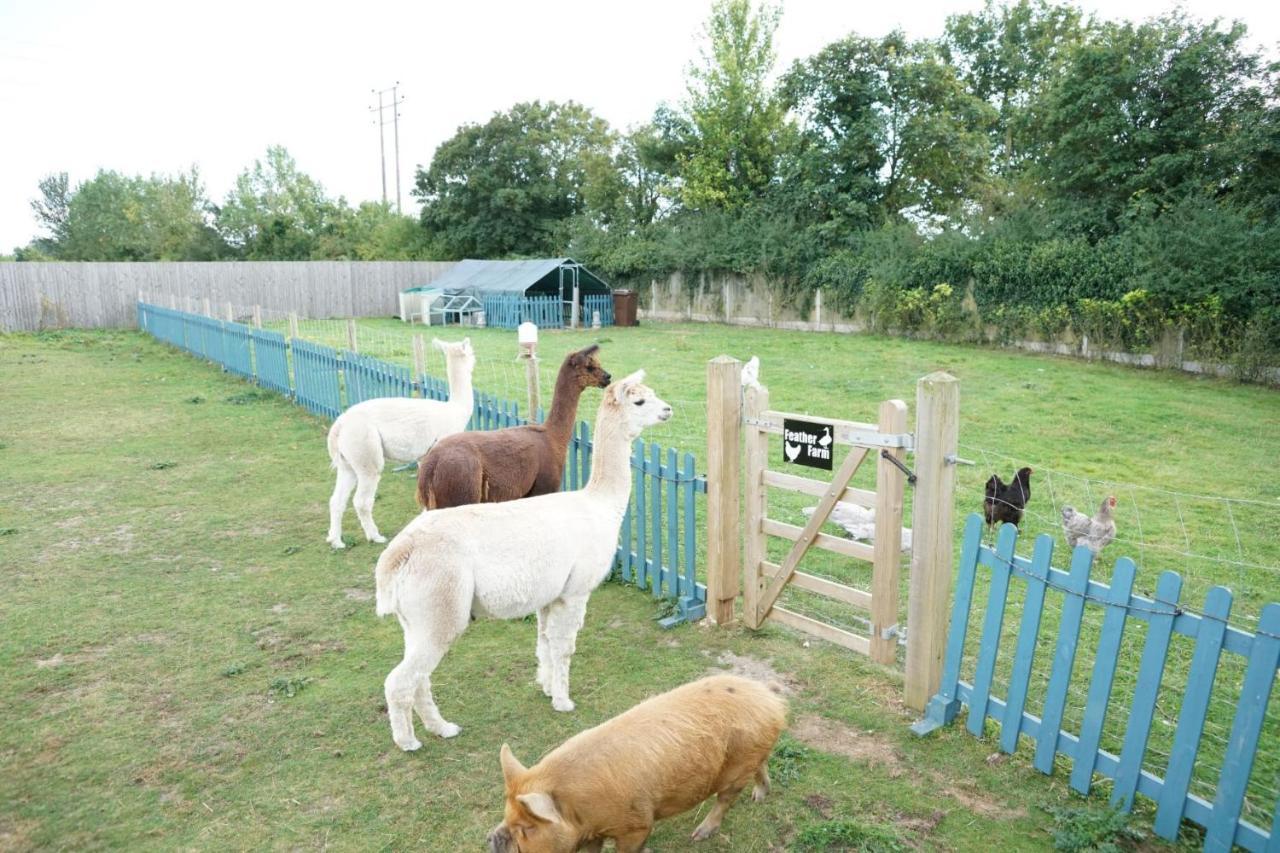 Alpaca Lodge ซิททิงบอร์น ภายนอก รูปภาพ